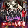 Caricias De Amor - Single