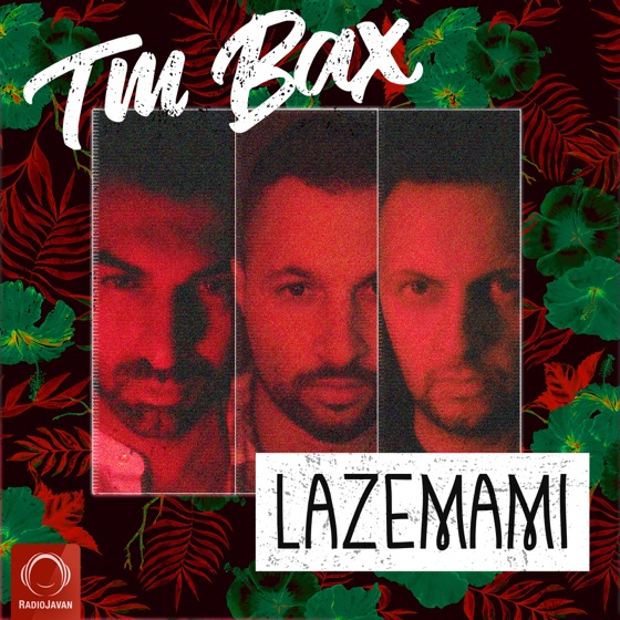 Cover artwork for Lazemami