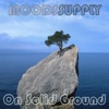 On Solid Ground - Single