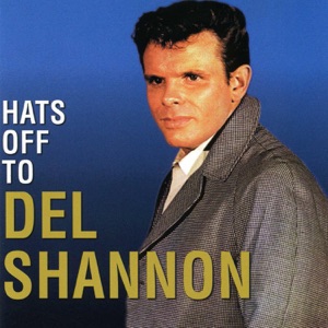 Del Shannon - Hats off to Larry - 排舞 音乐