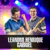 Leandro Henrique & Gabriel 2017