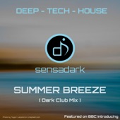 Summer Breeze (Dark Club Mix) artwork