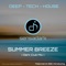 Summer Breeze (Dark Club Mix) artwork