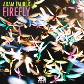 Adam Tauber - Circles