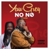 No No (feat. Samini) - Single