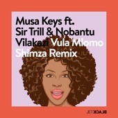 Vula Mlomo (feat. Sir Trill & Nobantu Vilakazi) [Shimza Remix Edit] artwork