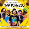 Stream & download Hola! Que Hacen? Tan Fumando (Remix) - Single