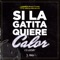 Si la Gatita Quiere Calor - Yung Beef & Pipo Beatz lyrics