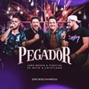 Pegador - Single