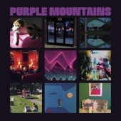 Purple Mountains - She's Making Friends, I'm Turning Stranger