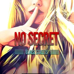 No Secret - Single by Blaise Streets album reviews, ratings, credits