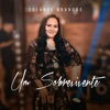 Um Sobrevivente - Single