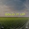 Sold It Up (feat. Reezie Roc) - Hurt 803 lyrics