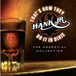 Hank Williams, Jr. & Hank Williams - There's a Tear In My Beer