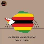 Marshall Munhumumwe - Guwa