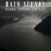 Rain Sounds Natural Ambience For Sleep - EP album lyrics, reviews, download