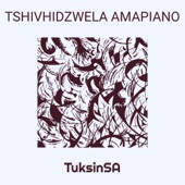 Tshivhidzwela Amapiano artwork