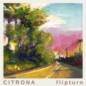 Flipturn - August