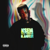 Nsem artwork