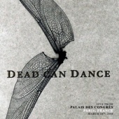 Dead Can Dance - I Can See Now (Live from Palais des Congres, Paris, France. March 14th, 2005)