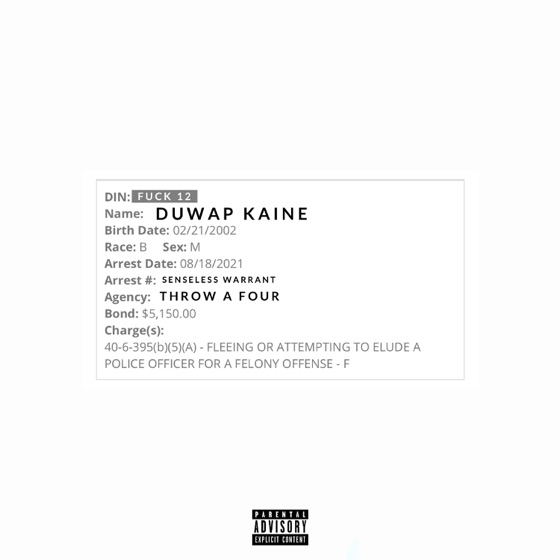 Cover artwork for State of Georgia Vs. Kaine