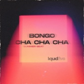Bongo Cha Cha Cha (Summer Beat) artwork