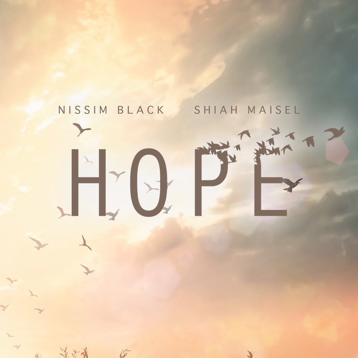 Hope музыка. Песня hope. Black hope. NF hope обложка альбома. Jim Yosef & SHIAH Maisel - just getting started.