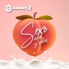 Sexo Sudor y Calor - Single