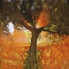 The Antlers - Volunteered