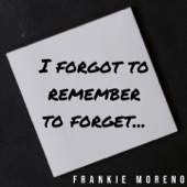 I Forgot to Remember to Forget artwork