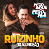 Pego Aqui Pego Ali - Single