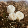 Amar - EP
