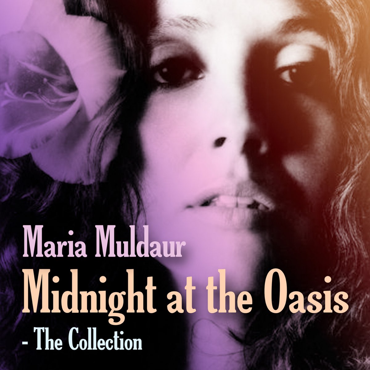 ‎Midnight at the Oasis The Collection by Maria Muldaur on Apple Music