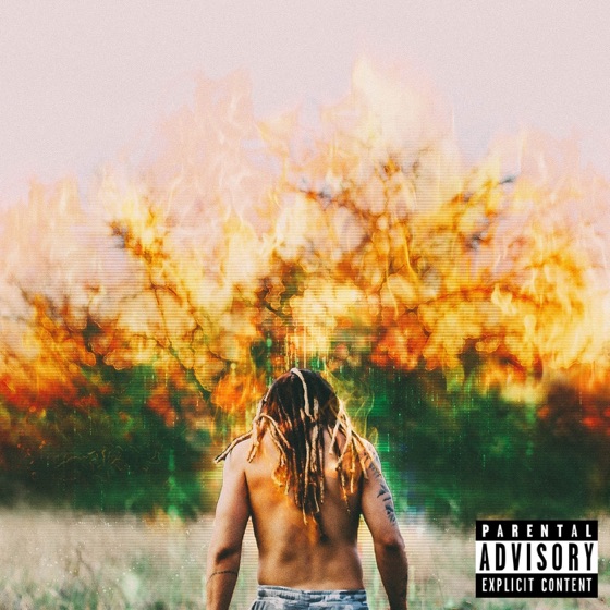 Cover artwork for Gzus