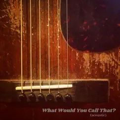 What Would You Call That? (Acoustic) - Single by John Statz album reviews, ratings, credits