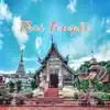 Thai Temple - Total Immersion in the Buddhist Meditation album lyrics, reviews, download