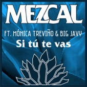 Si Tú Te Vas (feat. Mónica Treviño & Big Javy) artwork