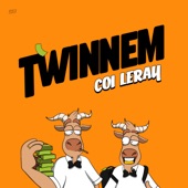 TWINNEM artwork