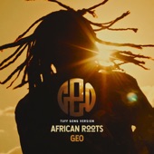 African Roots (Tuff Gong Version) artwork