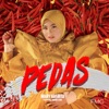 Pedas (feat. Sophia Liana) - Single