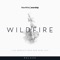 Wildfire (feat. Sam Bailey) - New Wine Worship lyrics