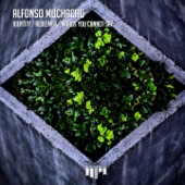 Alfonso Muchacho - Identity - Single