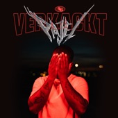 Verkackt artwork