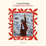 Curtis Harding - I Won't Let You Down