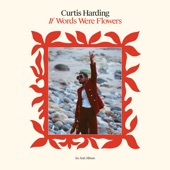 Curtis Harding - Can't Hide It