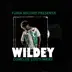 Como De Costumbre (feat. Wildey) song reviews