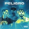 Peligro (feat. Andres Ze & Kronec TP) - DANTER LD lyrics