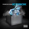 Icebox - Single (feat. YFL Kelvin) - Single album lyrics, reviews, download