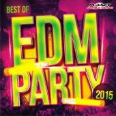 Best of EDM Party 2015 - Various Artists