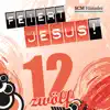 Feiert Jesus! 12 album lyrics, reviews, download